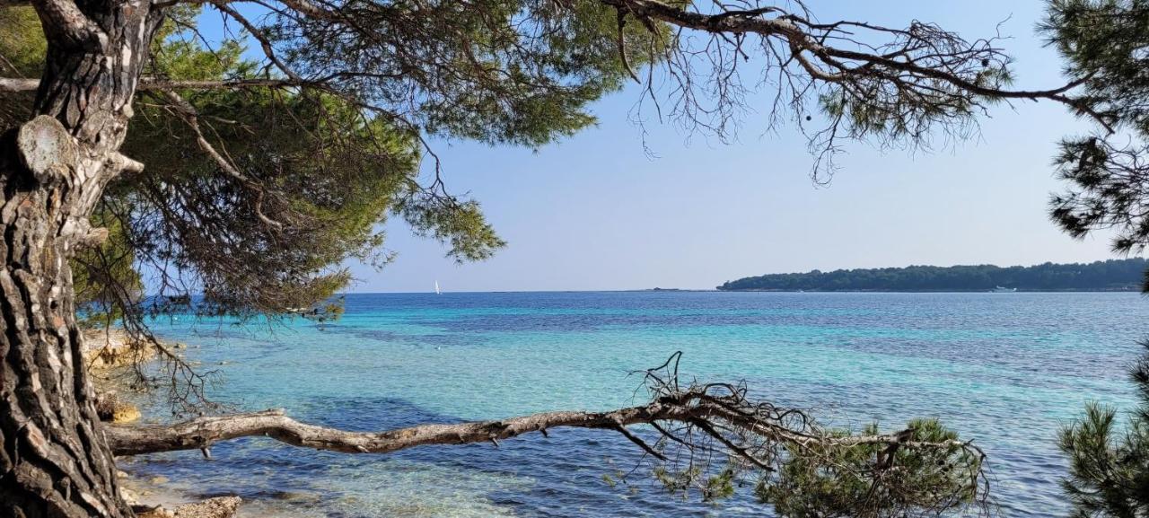 Les Grenadines Du Samedi Au Samedi Apartment Antibes Exterior foto